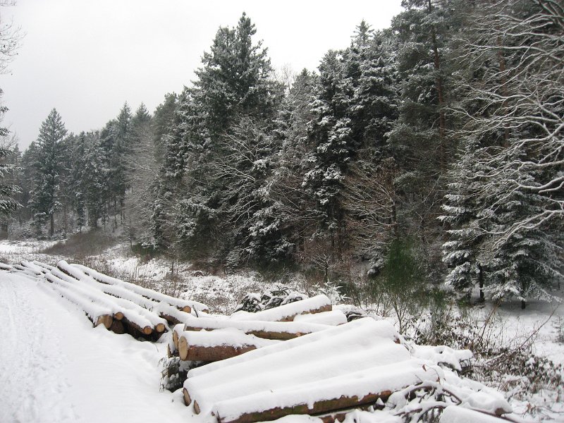 Winterwunderland 2010